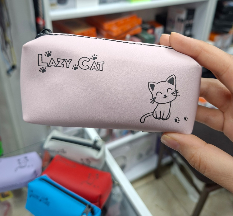 کیف اکسسوری پیشی